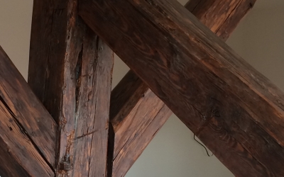 trámy detail